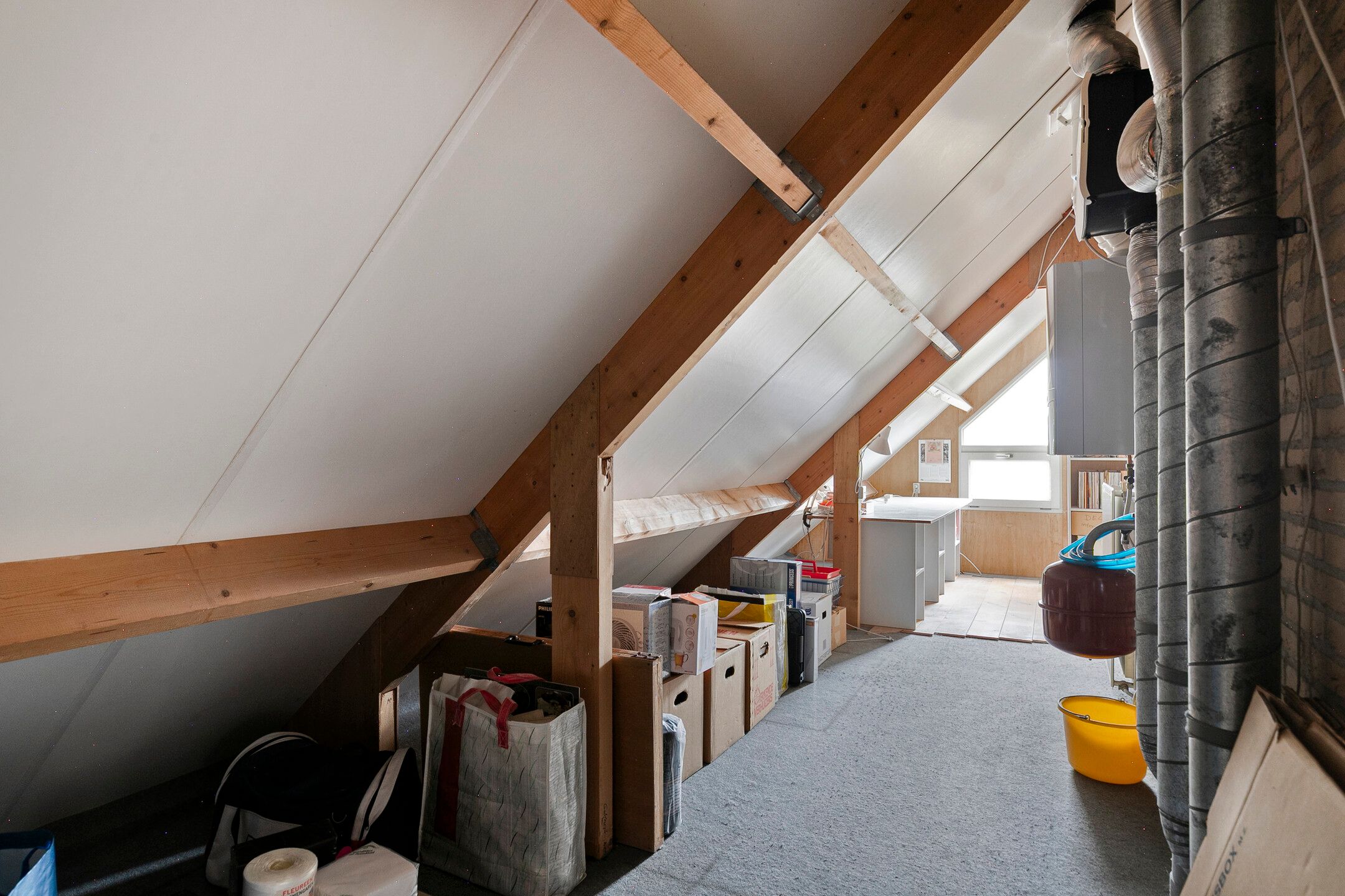 Photo 24 of Griendwerker 11