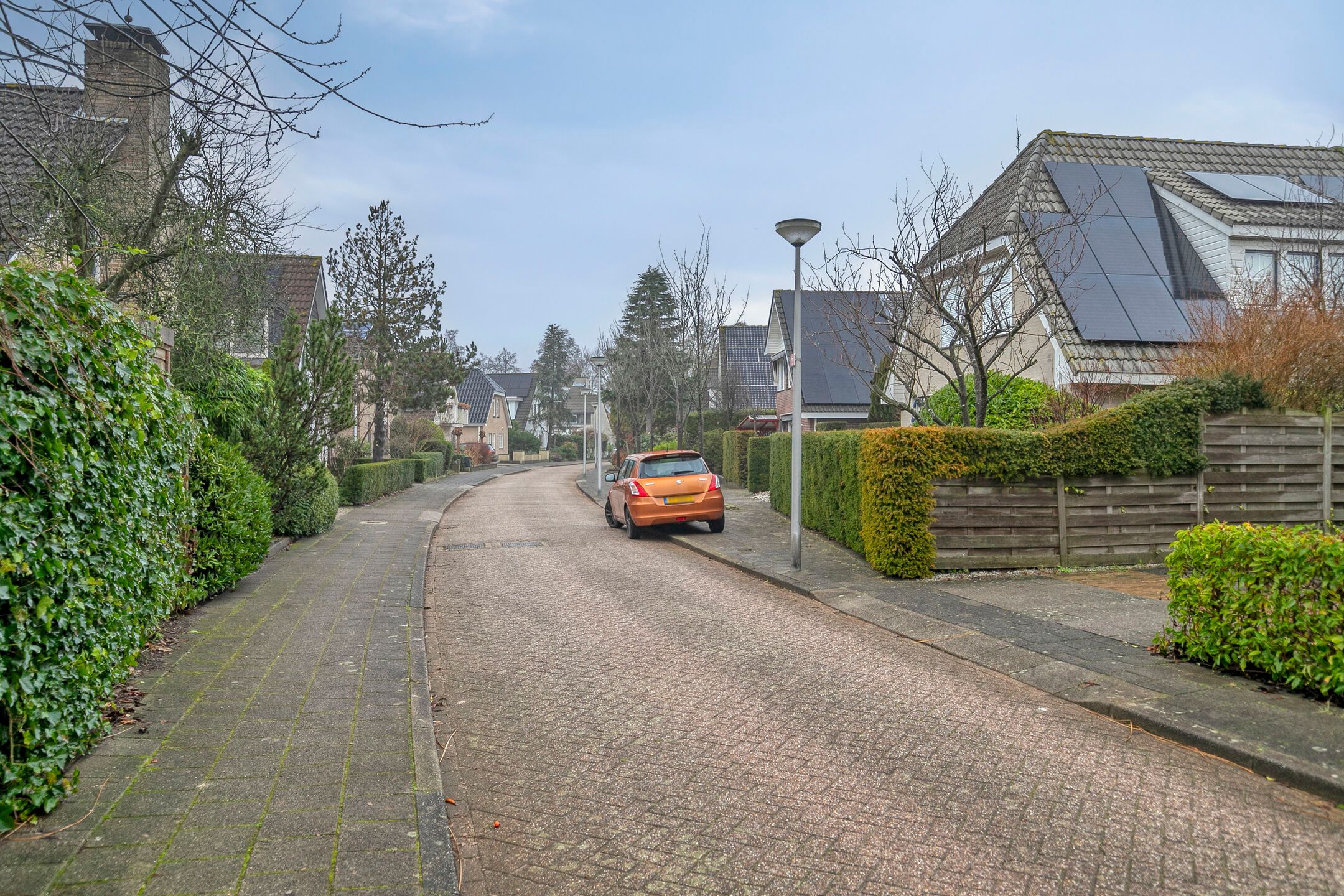 Photo 39 of Griendwerker 11