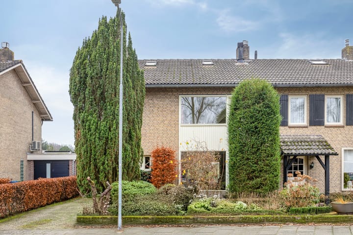 Wildemanstraat 44