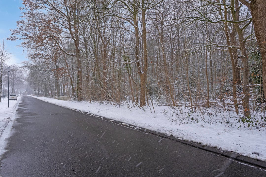 Foto 43 van Dennenlaan 27