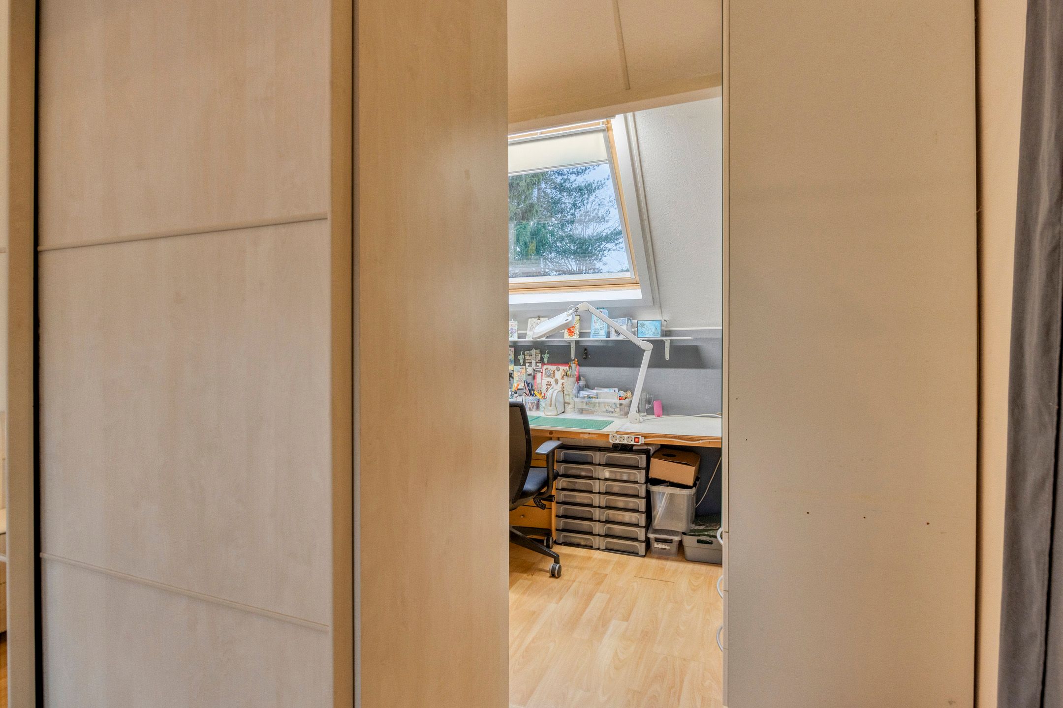 Foto 21 van Winterkoning 19