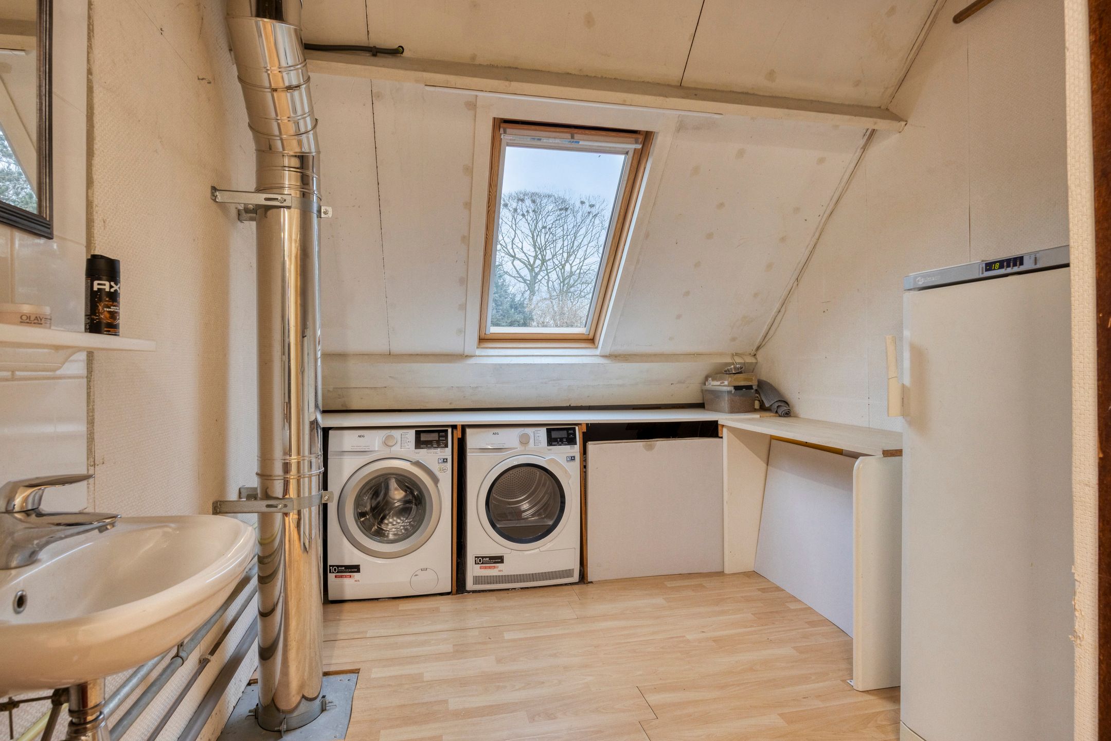 Foto 24 van Winterkoning 19