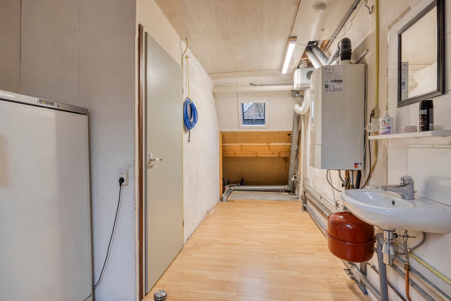 Foto 25 van Winterkoning 19