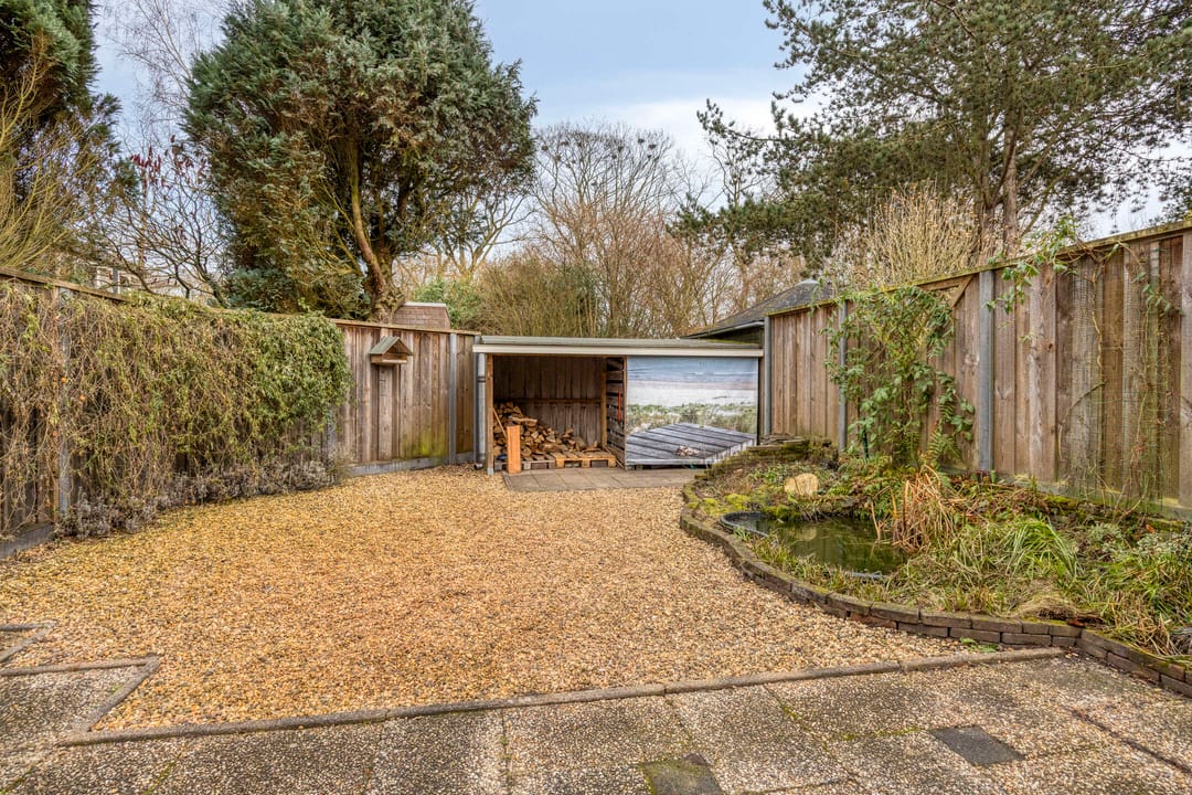 Foto 28 van Winterkoning 19