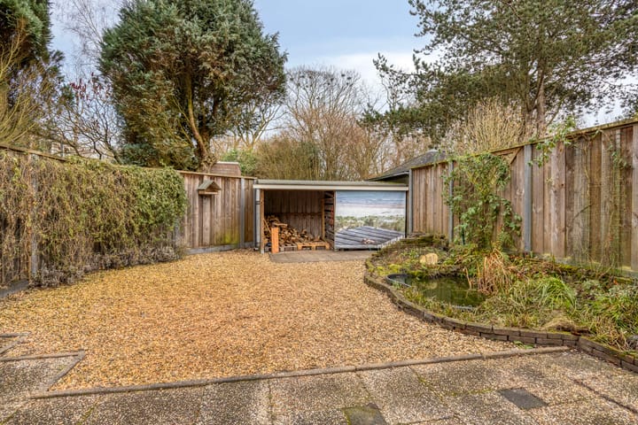 Foto 28 van Winterkoning 19