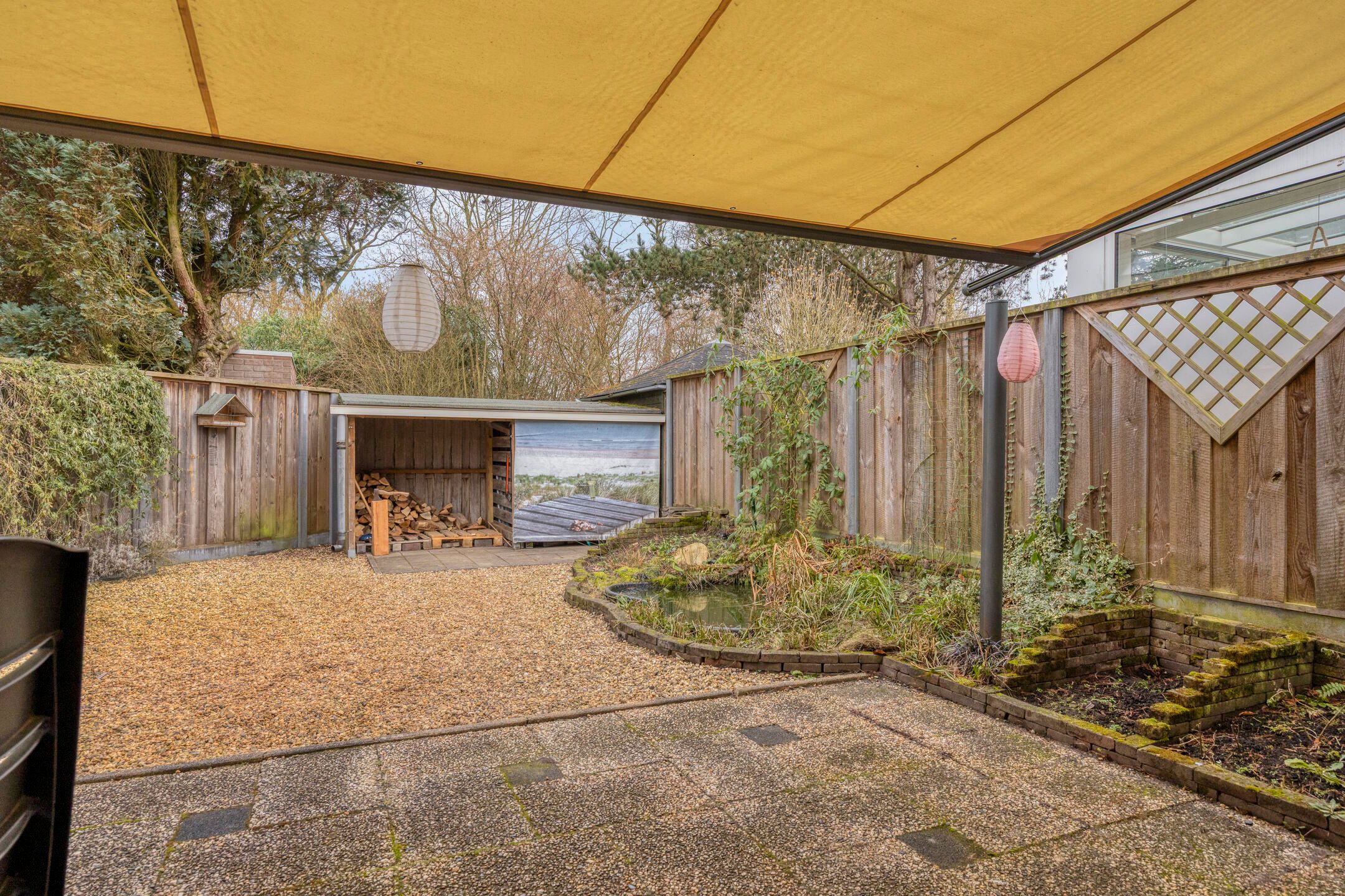 Foto 30 van Winterkoning 19