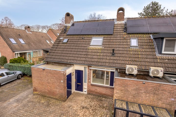 Foto 34 van Winterkoning 19