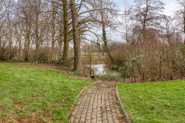 Foto 35 van Winterkoning 19