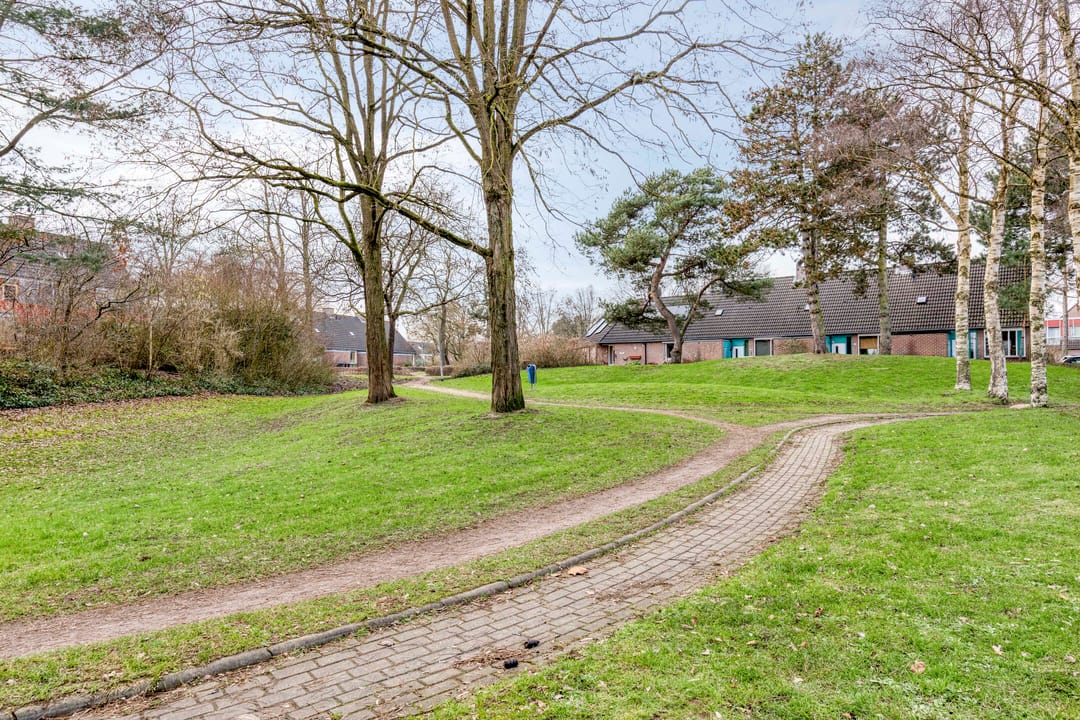 Foto 37 van Winterkoning 19