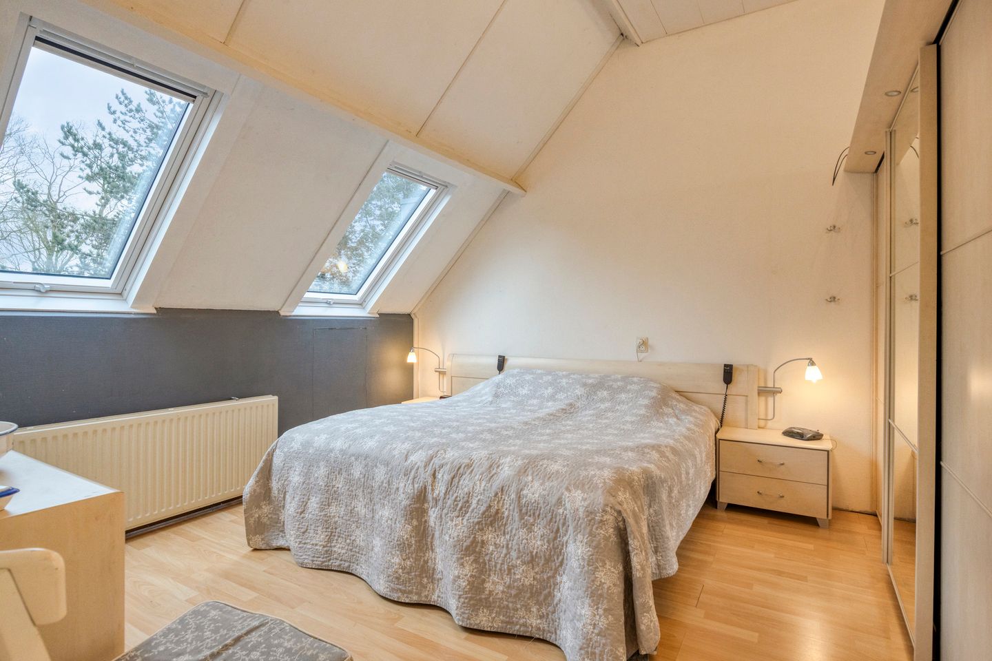 Foto 19 van Winterkoning 19