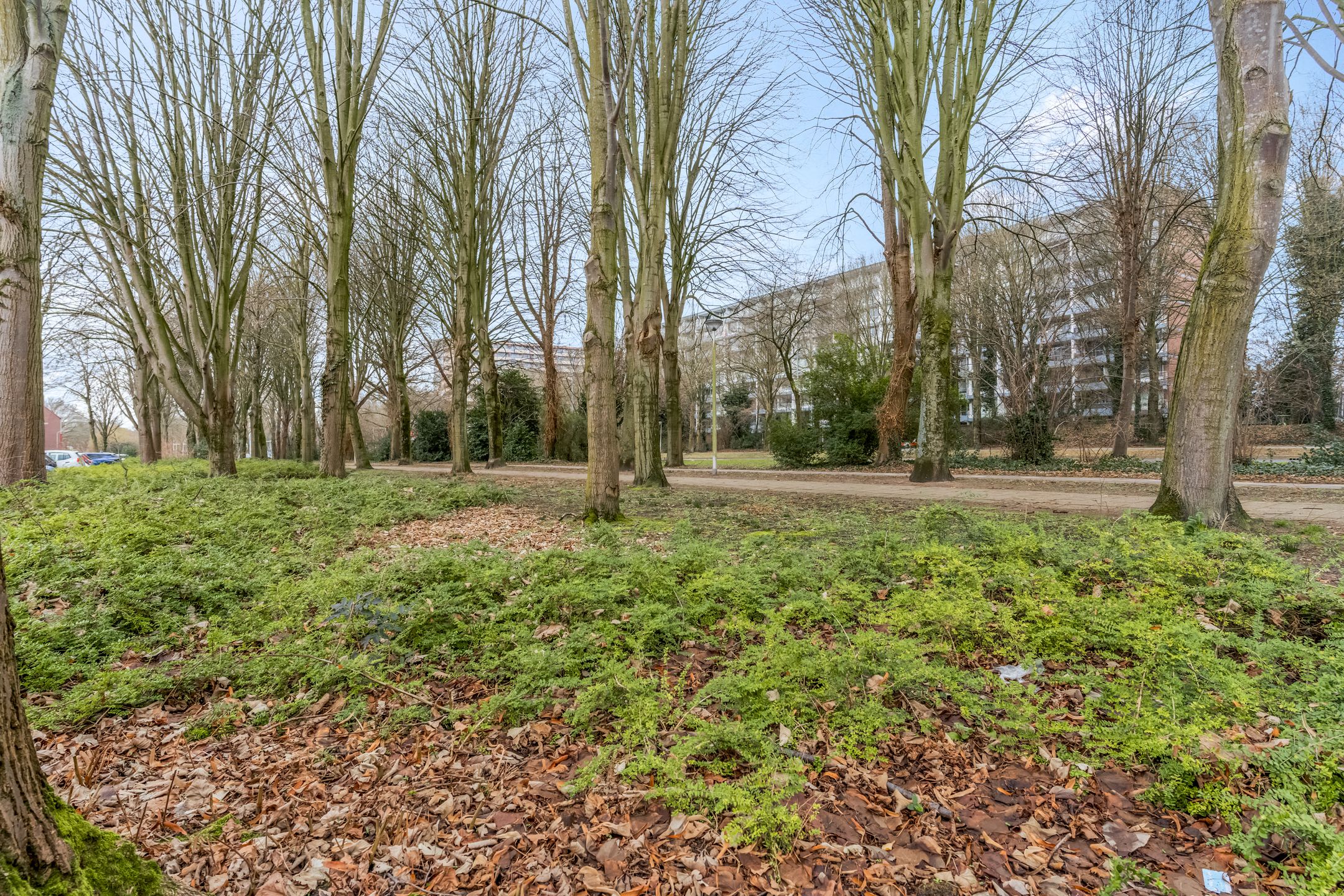 Photo 42 of Dick Ketstraat 35