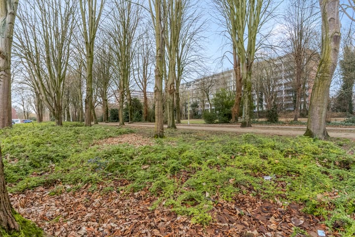 Foto 42 van Dick Ketstraat 35