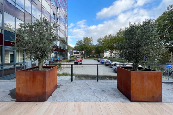 Foto 5 van Laan van Vollenhove 154