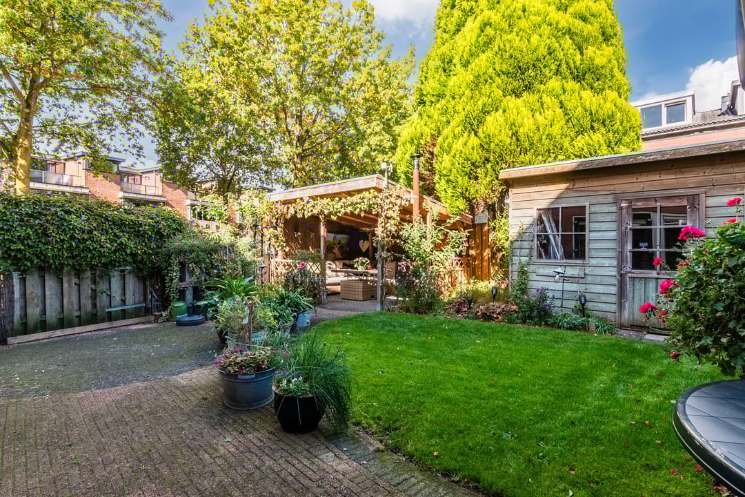 Foto 2 van Duifkruid 1