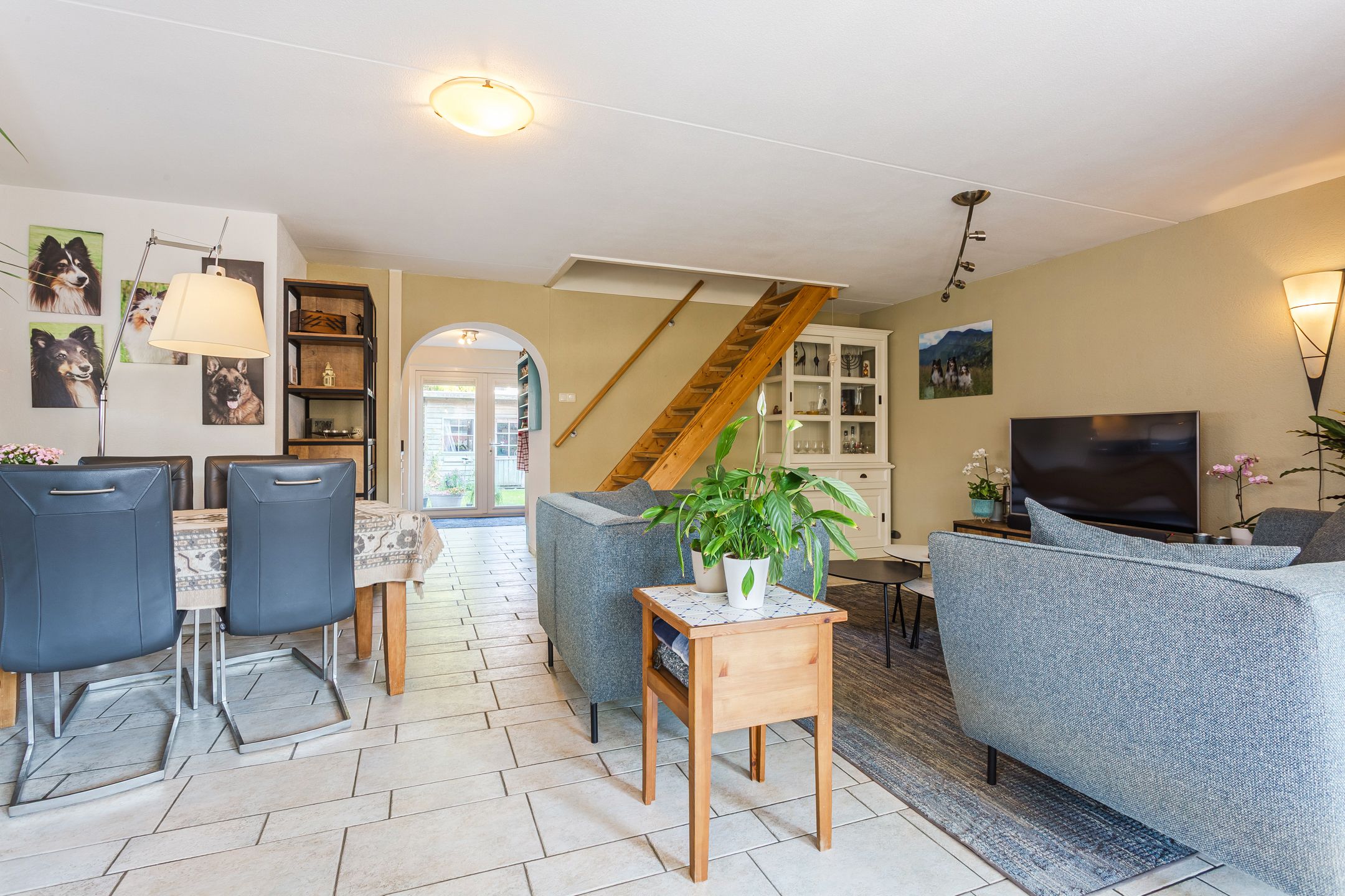 Foto 6 van Duifkruid 1