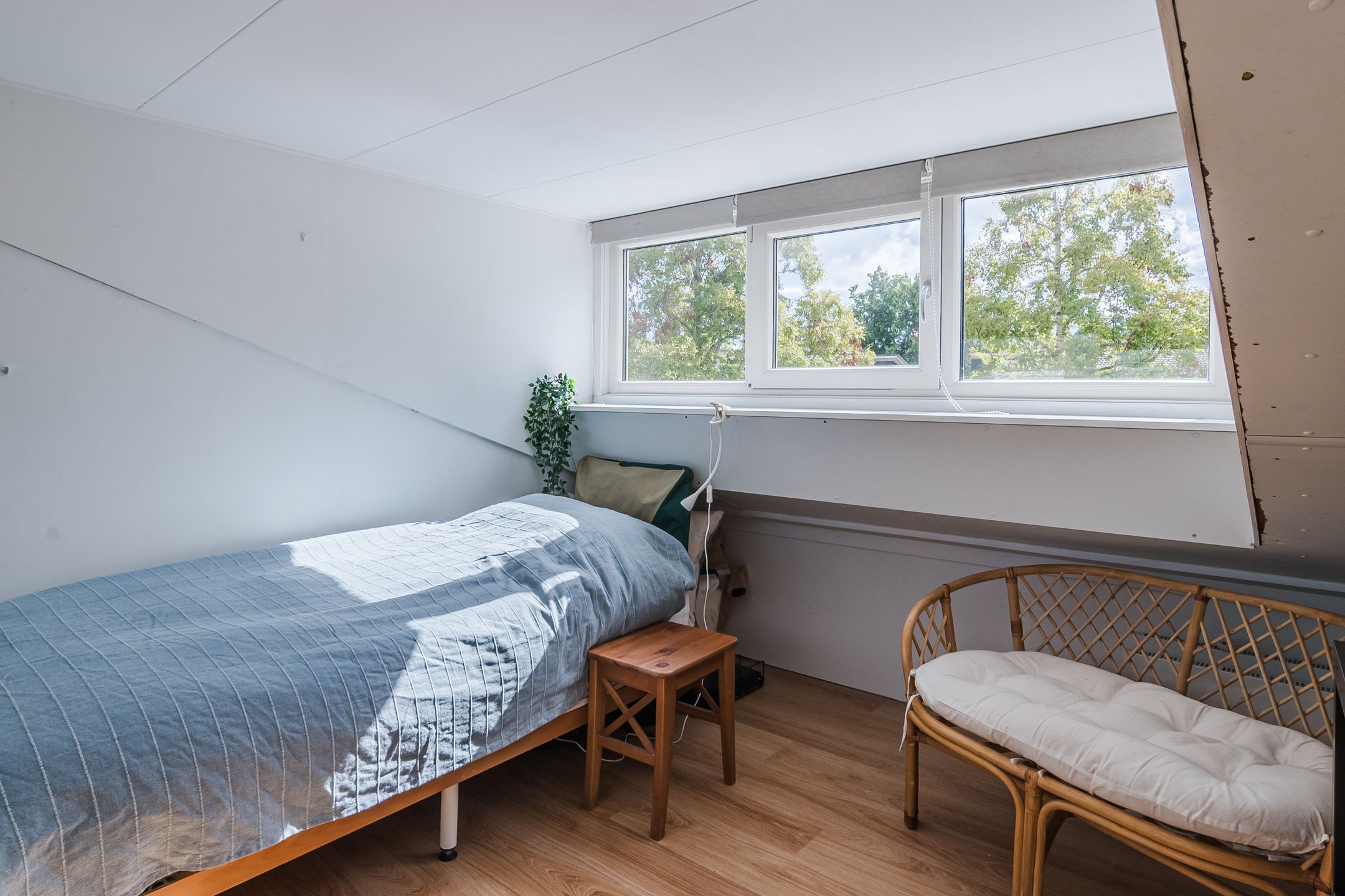 Foto 21 van Duifkruid 1