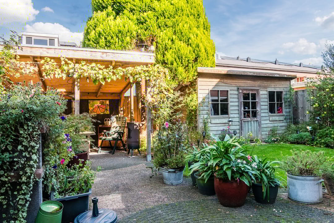 Foto 23 van Duifkruid 1