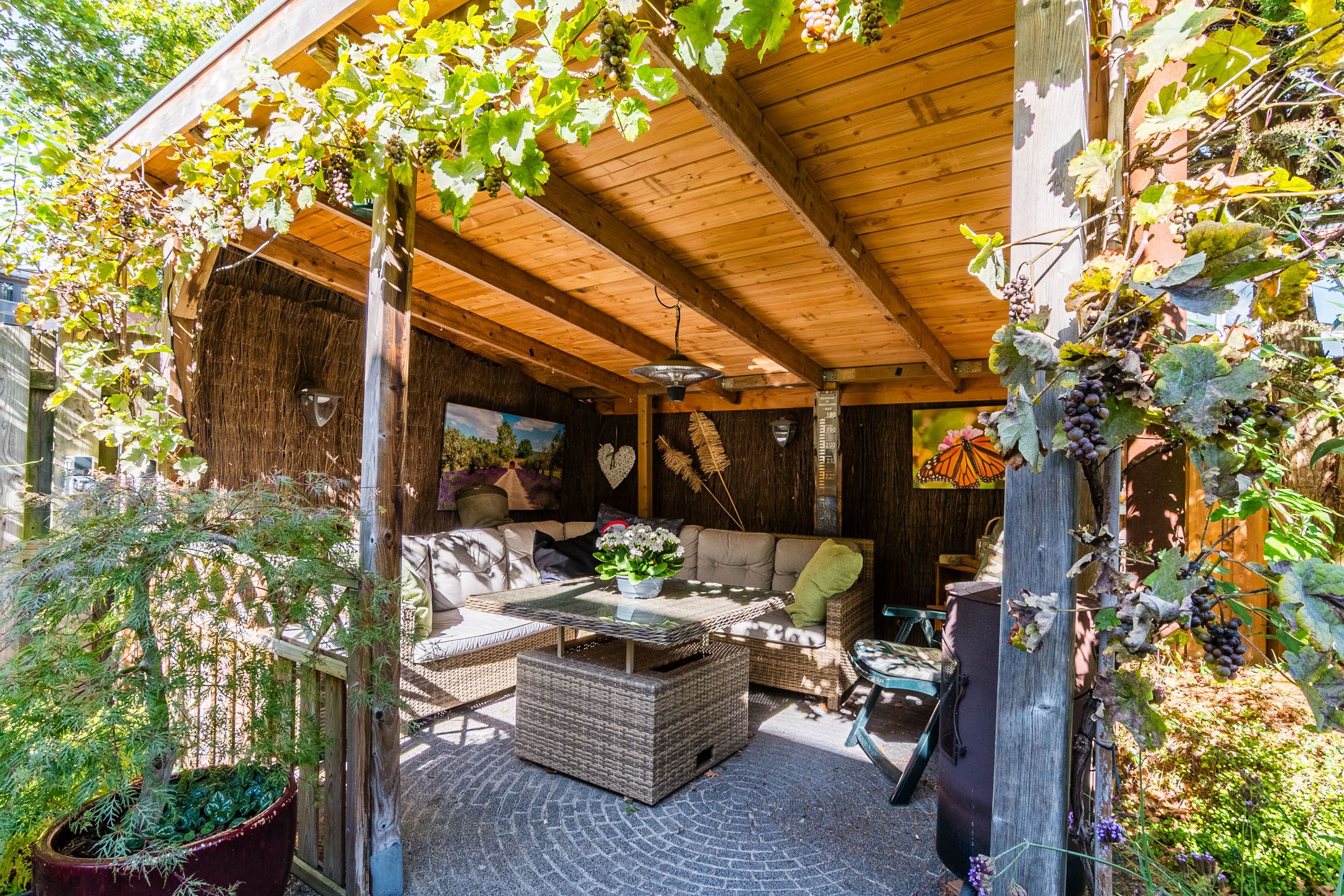 Foto 24 van Duifkruid 1