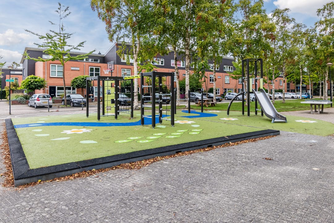 Foto 28 van Duifkruid 1