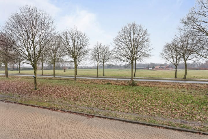 Foto 16 van Liverpoolstraat 50