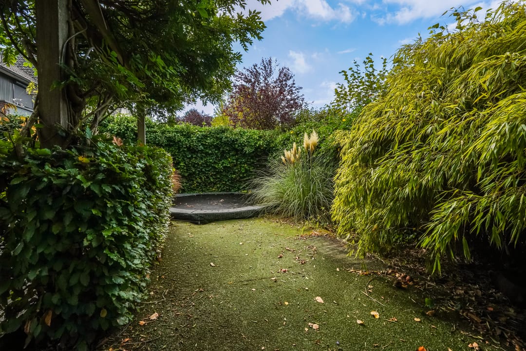 Foto 17 van Scheidiuslaan 27