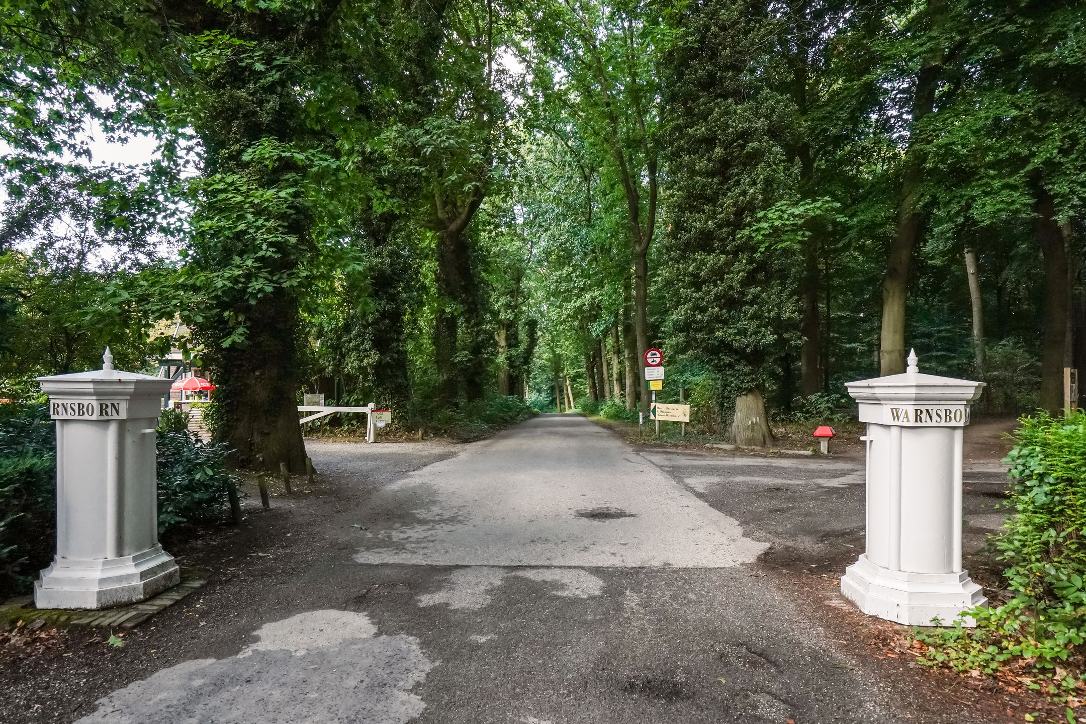 Foto 30 van Scheidiuslaan 27