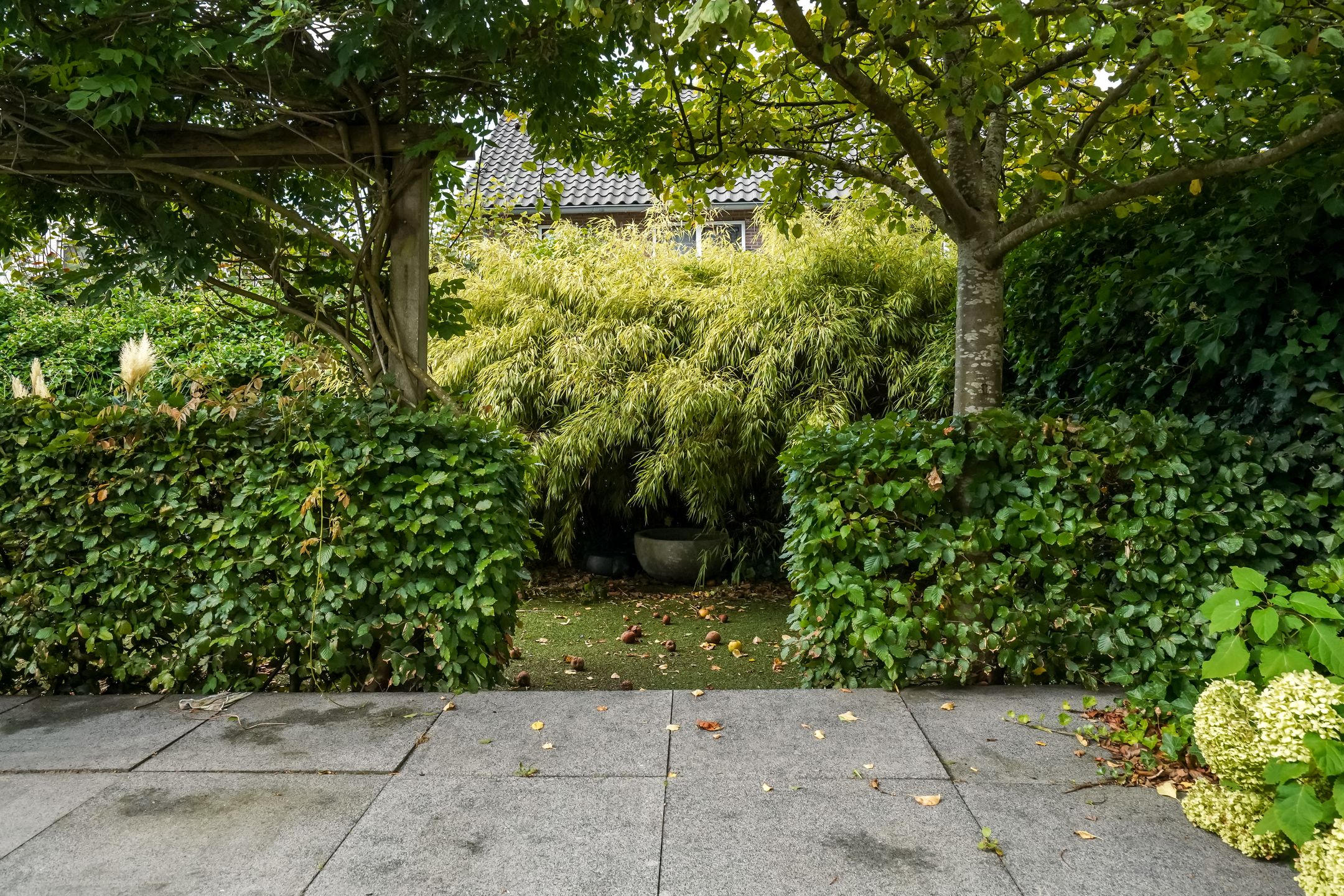 Foto 15 van Scheidiuslaan 27