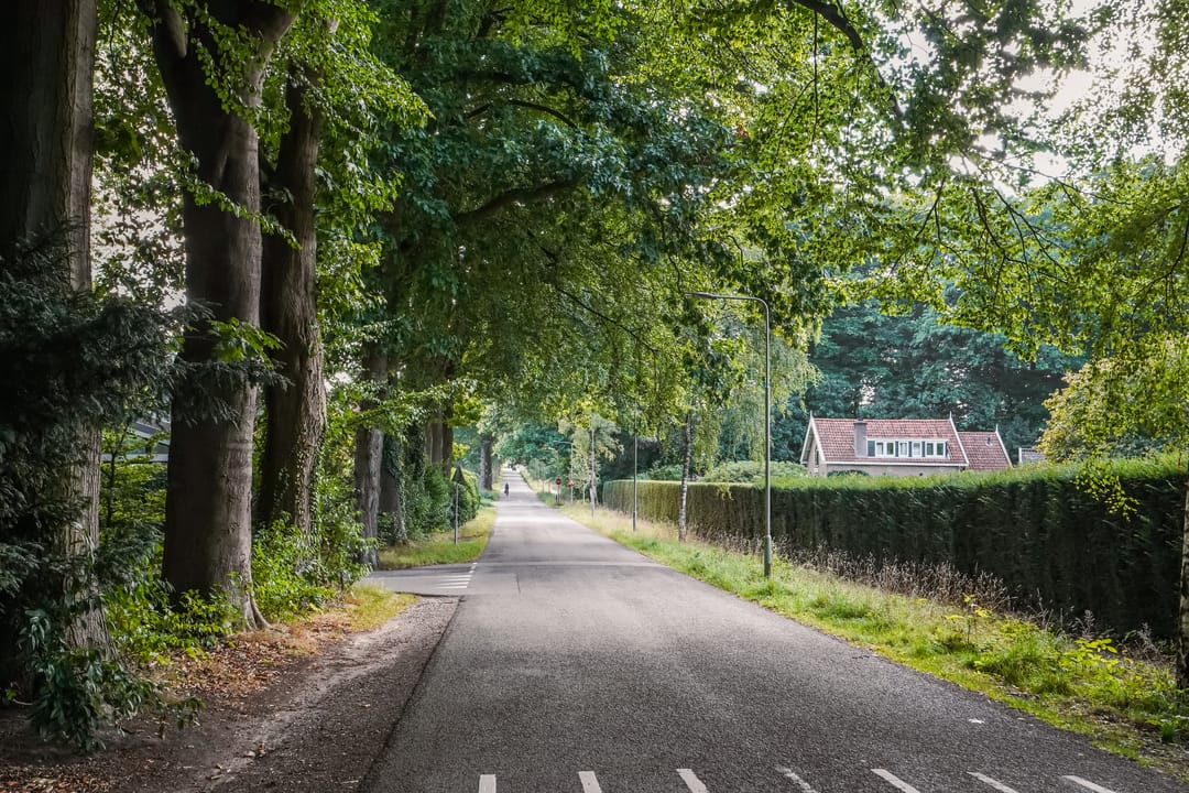 Foto 31 van Scheidiuslaan 27