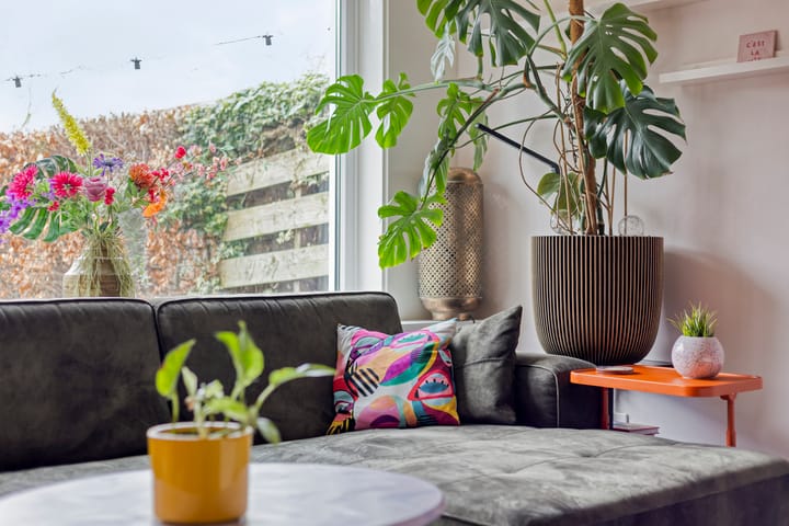 Foto 12 van Monnickendamstraat 61