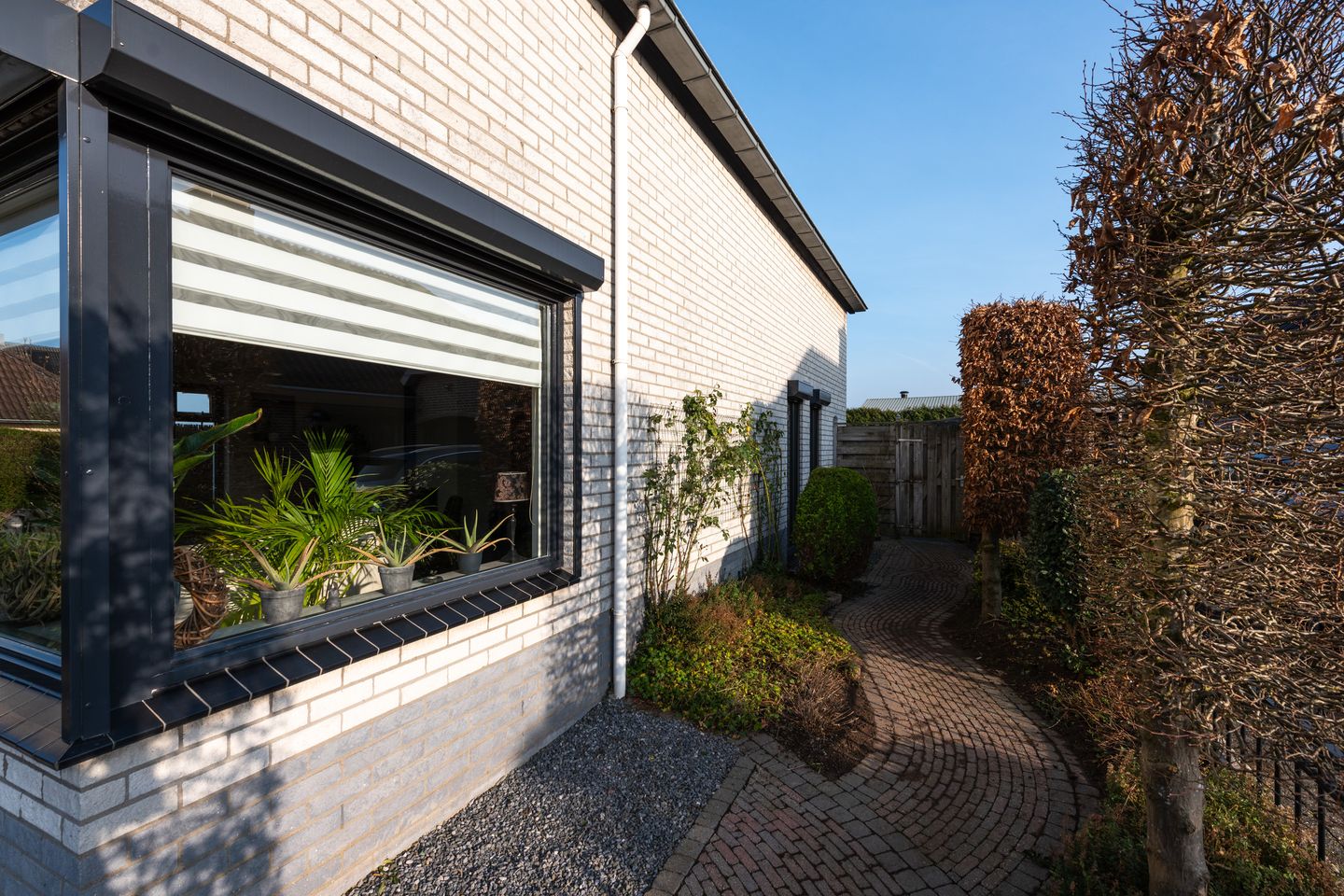 Foto 34 van Sterappel 3