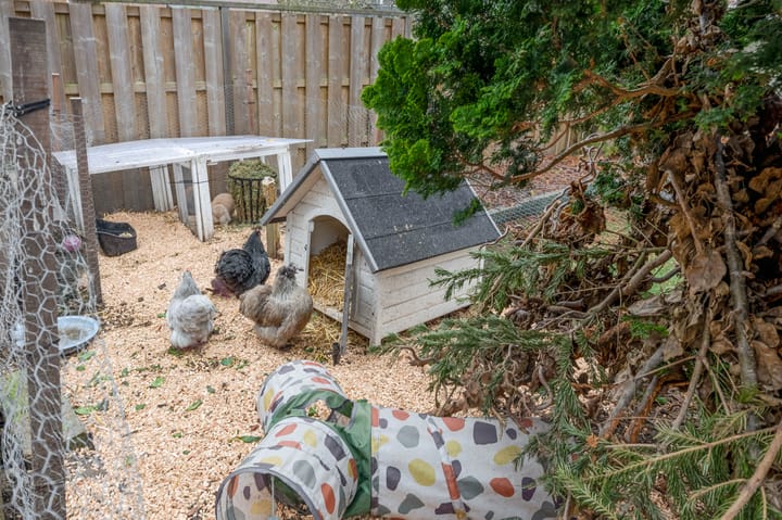 Foto 36 van Wethouder Kreftlaan 4