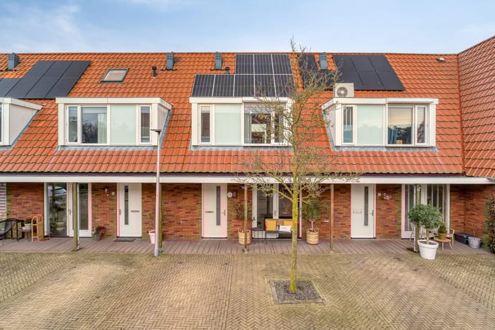 Photo 6 of IJsvogel 4