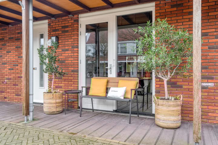 Photo 7 of IJsvogel 4