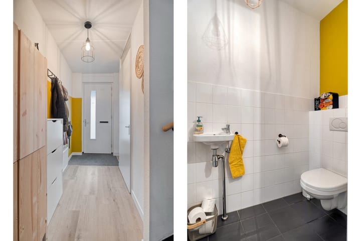 Photo 8 of IJsvogel 4