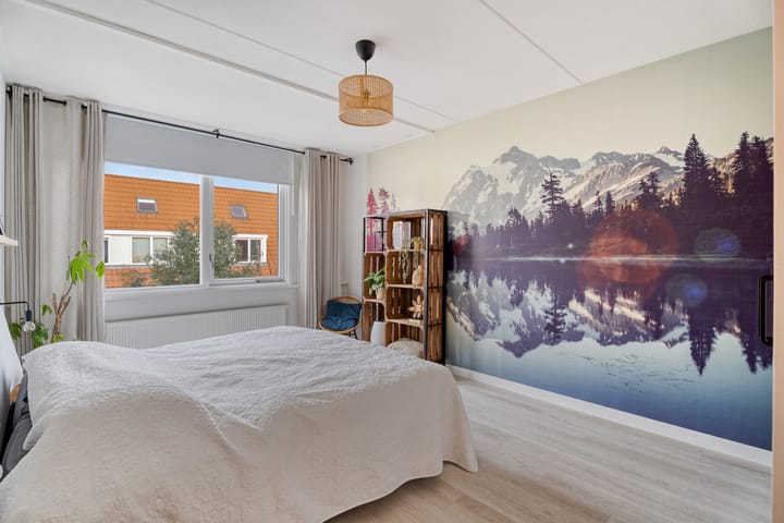 Photo 22 of IJsvogel 4