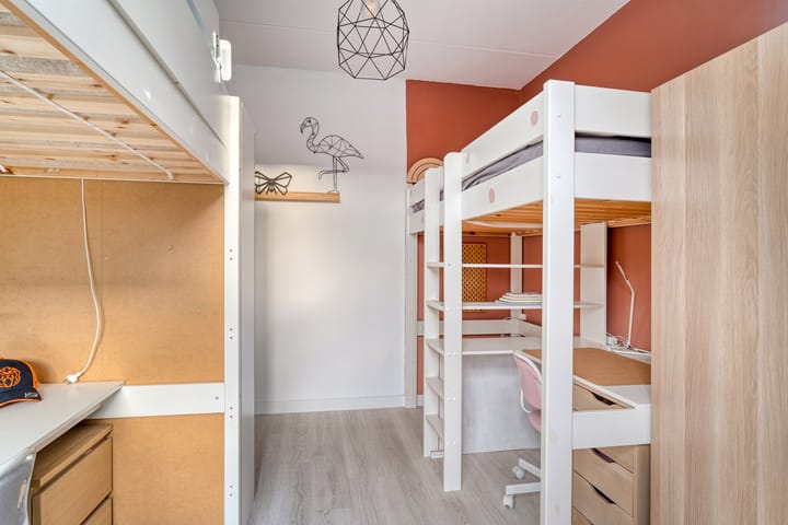 Photo 25 of IJsvogel 4