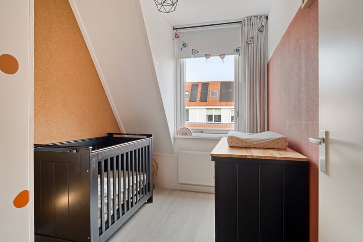 Photo 27 of IJsvogel 4