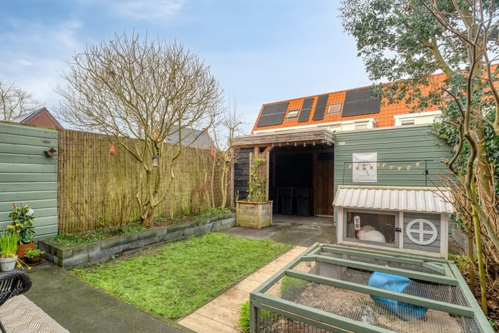 Photo 33 of IJsvogel 4