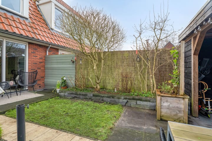 Photo 38 of IJsvogel 4