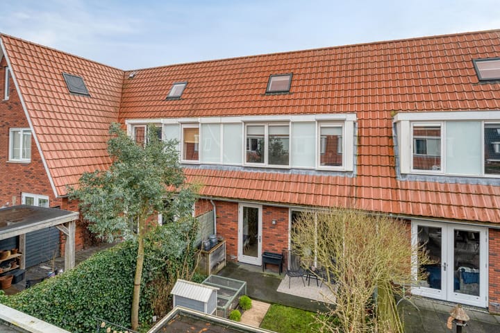 Photo 40 of IJsvogel 4