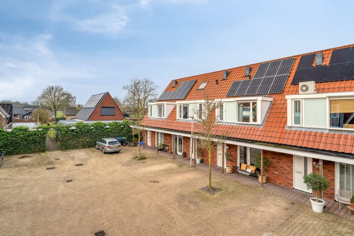 Photo 41 of IJsvogel 4