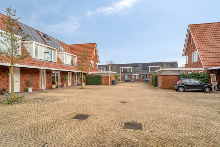 Photo 42 of IJsvogel 4