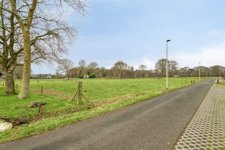 Photo 43 of IJsvogel 4