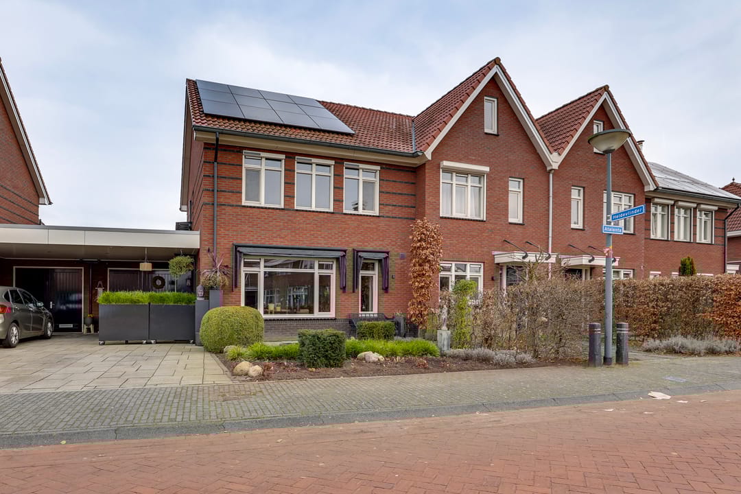 Photo 31 of Atalanta 39