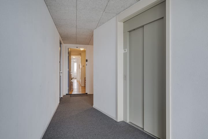 Foto 9 van Ter Lips 21