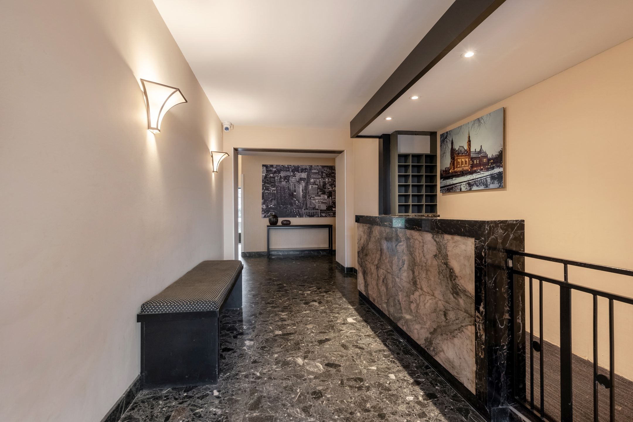 Photo 3 of Anna Paulownastraat 117-19