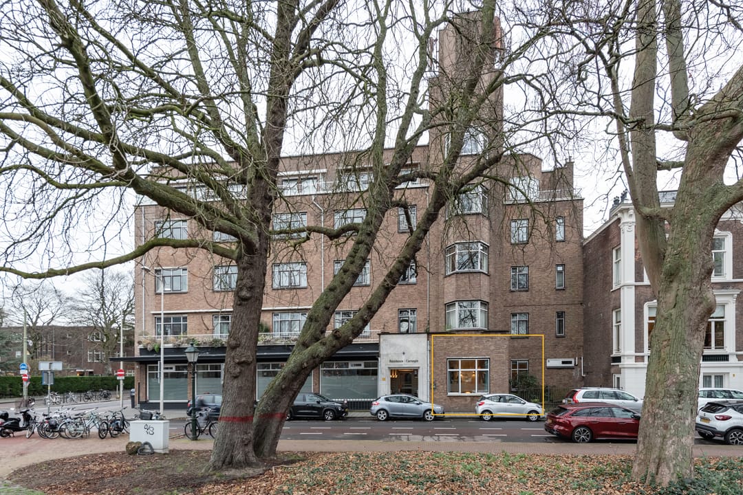 Photo 23 of Anna Paulownastraat 117-19