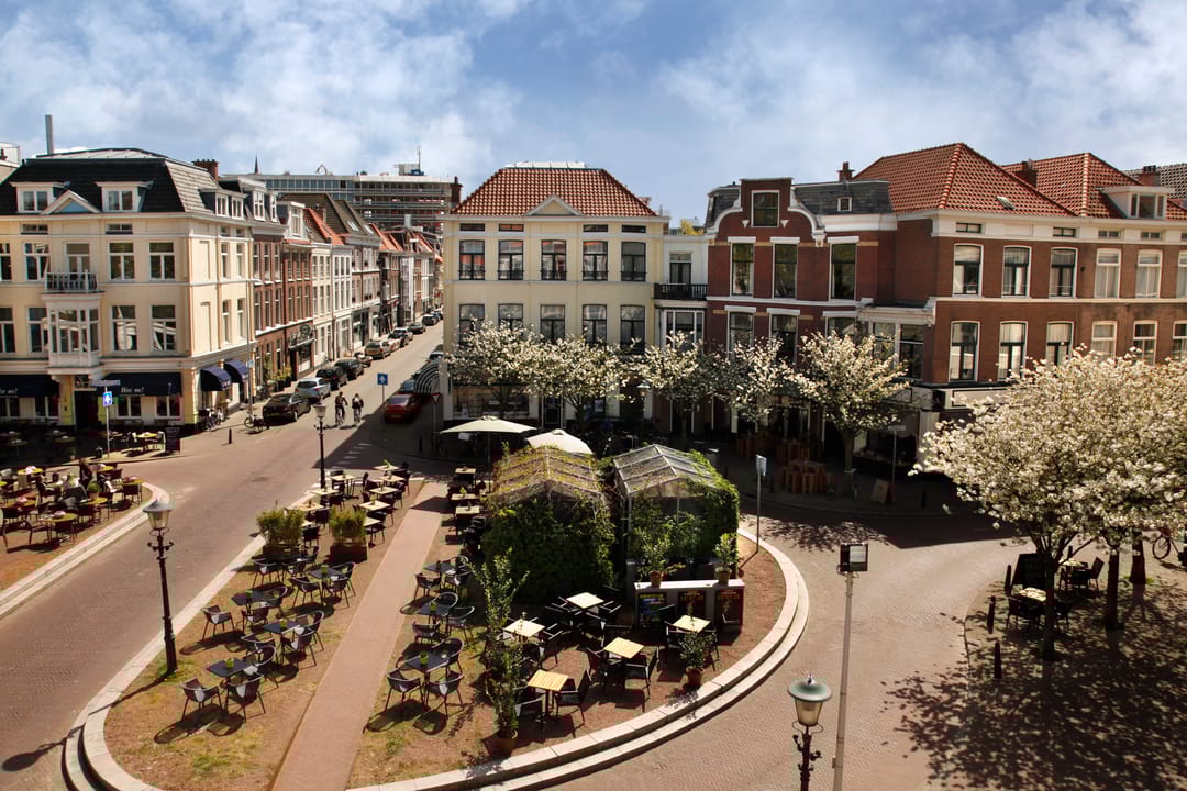 Photo 31 of Anna Paulownastraat 117-19