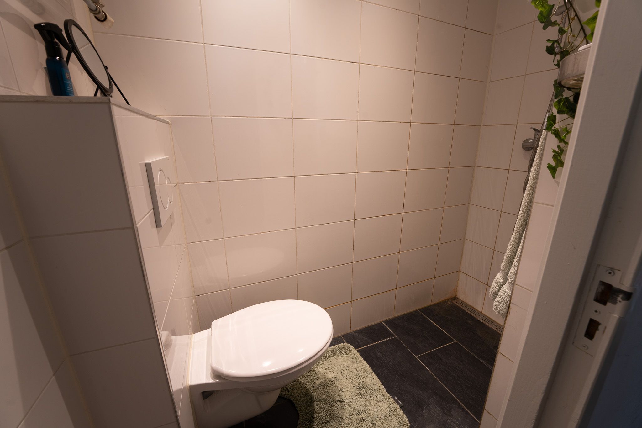 Foto 15 van Valkestraat 24-C