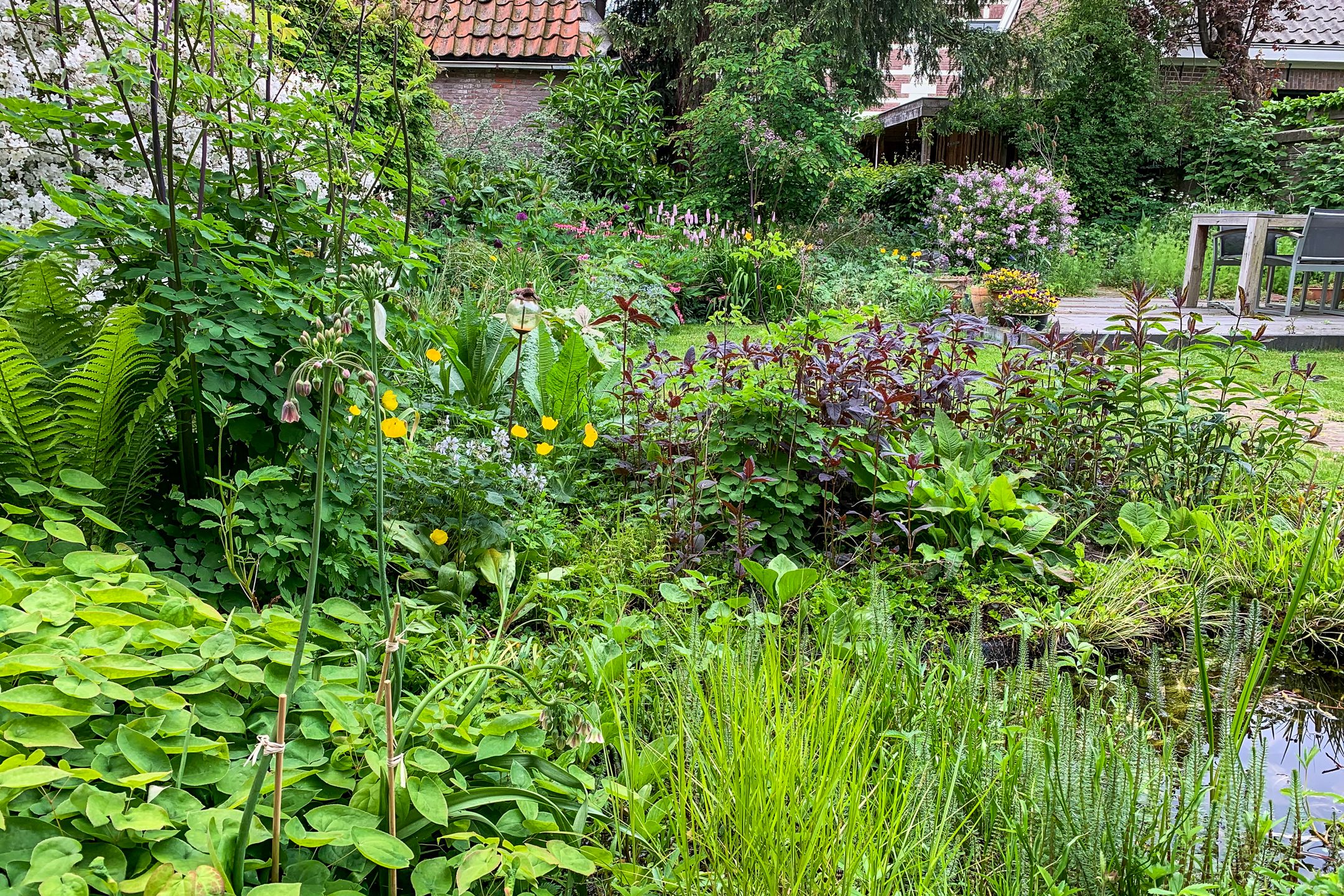 Foto 66 van Vloeddijk 91